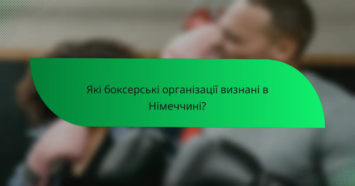 Які боксерські організації визнані в Німеччині?
