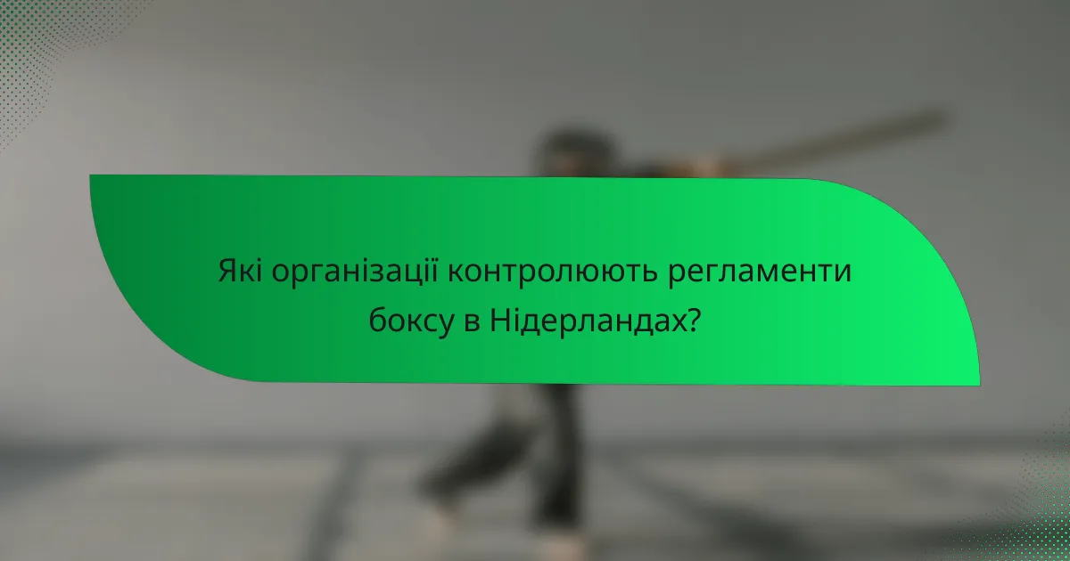 Які організації контролюють регламенти боксу в Нідерландах?