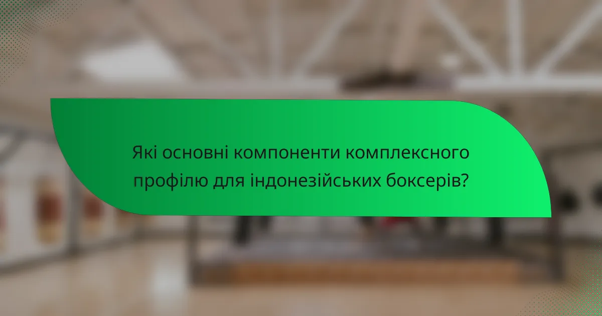 Які основні компоненти комплексного профілю для індонезійських боксерів?
