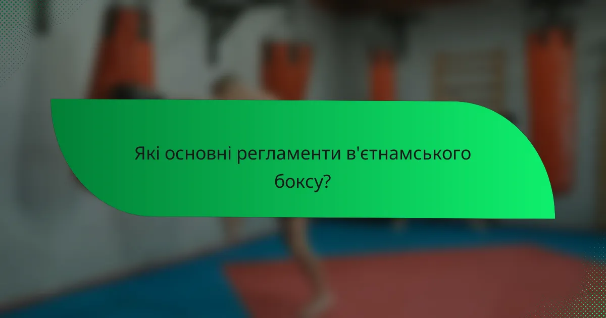 Які основні регламенти в'єтнамського боксу?